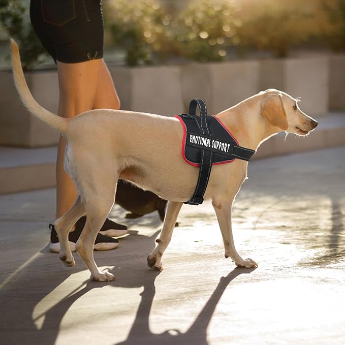 voopet Emotional Support Dog Harness, Professional Service Dog Vest Harness for Small Medium Large Dogs, Reflective Breathable and Adjustable No Pull/Choke ESA Essential Harness
