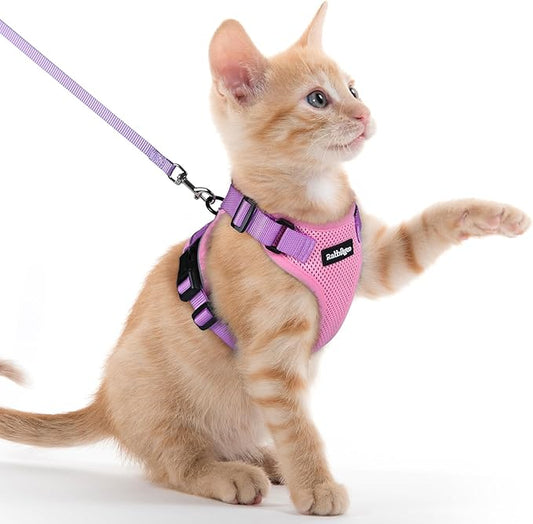 rabbitgoo Cat Harness and Leash Set, Escape Proof Kitten Harness for Safe Outdoor Walks, Soft Breathable Adjustable Vest with Reflective Strips for Kittens and Extra Small Cats, Pink & Purple, XXS