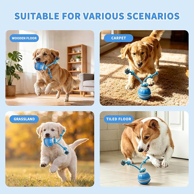 Dog Toys, Interactive Dog Toys, Automatic Interactive Dog Ball, 3 Modes Motion Activated Dog Balls for Medium Large Dogs, Type-C Rechargeable & Bite-Resistant, Keep Pets Busy for Small Large Breeds