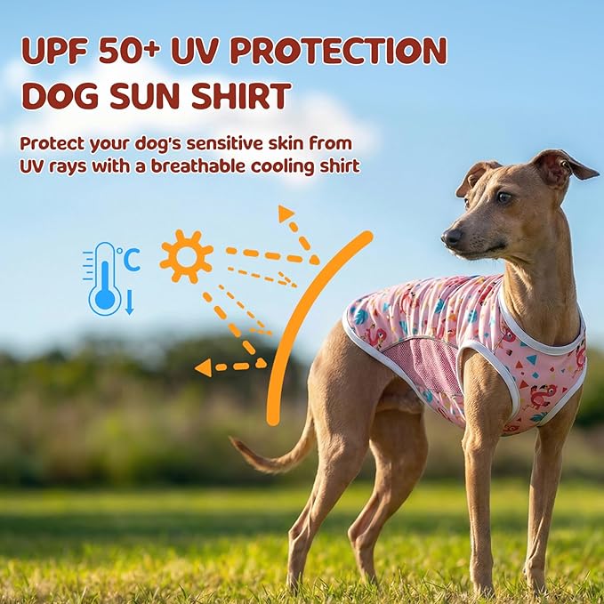 UPF 50+ Sun Protection Dog T-Shirt, 2 Pack Lightweight Sleeveless Dog Vest for Small Medium Dogs Girl – Reflective Strips, Quick-Dry Pet Apparel, Sports Fan Shirt P23ST00510XL