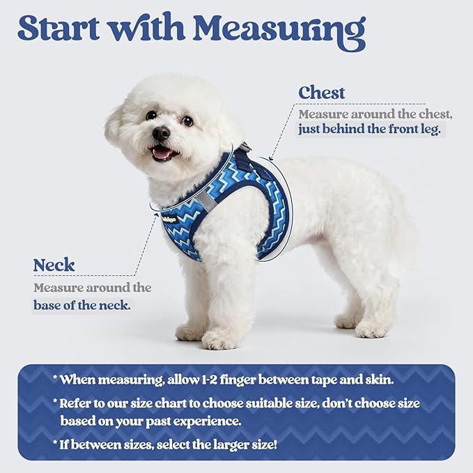 rabbitgoo Dog Harness Small Medium Sized and Leash Set, Step in Soft Light Puppy Vest, Breathable Mesh Pet Harness, Reflective for Safe Easy Walking, Blue Zigzag L