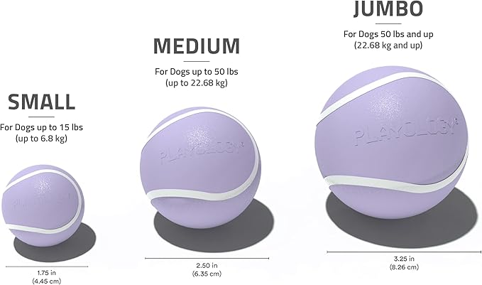 Playology Dog Toys | Squeaky Chew Ball for Dogs, Value 3-Pack | Lamb Scented Small Dog Balls | Bouncy Floating Chew Toys for Fetch