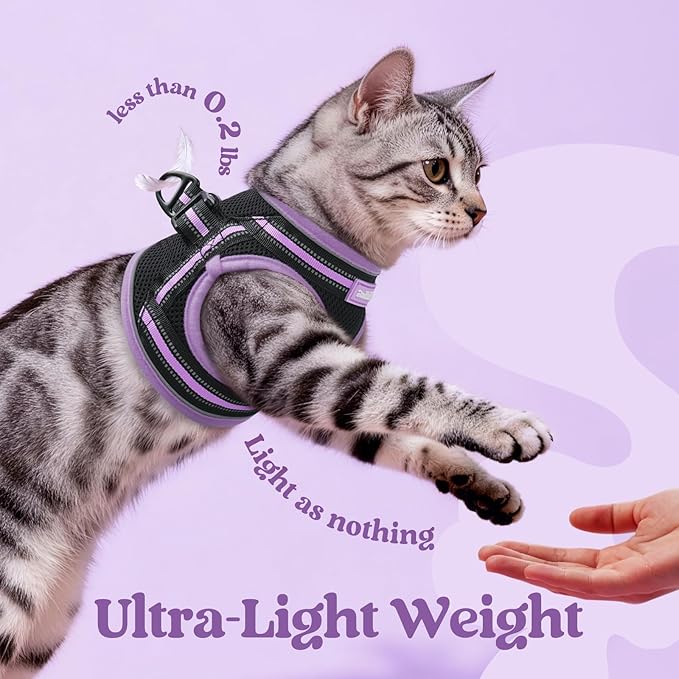 rabbitgoo Cat Harness and Leash, Step-in Escape Proof Kitten Harness Set, Soft Comfortable Cat Vest, Easy to Wear and Adjust, Reflective for Safe Outdoor Walking, Black&Light Purple, Small