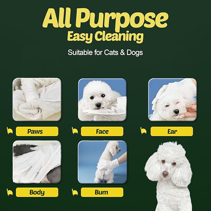 Petazy Pet Wipes for Dogs and Cats – 100 Count (8x8in) Hypoallergenic, Deodorizing Dog Wipes for Paws, Ears and Butt | XL with Aloe & Coconut oil, Lavender Scented | Travel Size, Single On-the-Go Pack
