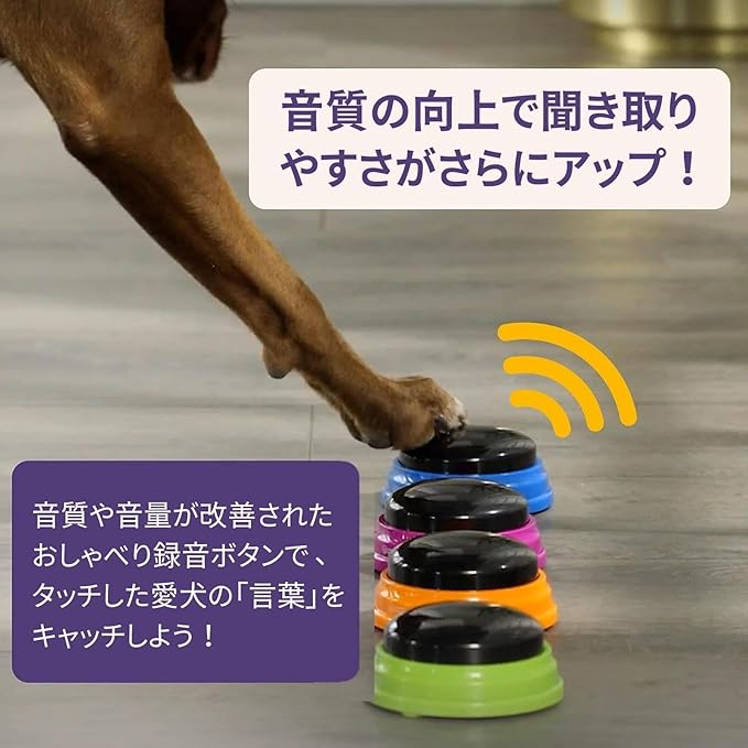 Hunger for Words Talking Pet Talking Record Button Starter 4 Pack Japanese Version LER9351-J Authentic Product