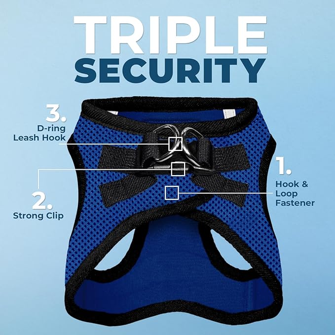 Best Pet Supplies Voyager Step-in Air All Weather Mesh Harness and Reflective Dog 5ft Leash Combo with Neoprene Handle, for Small, Medium and Large Breed Puppies - Set (Royal Blue/Black Trim), Small