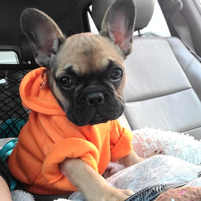 Jecikelon Soft Dog Hoodies for Small Dogs, Fleece Puppy Sweatshirt with Pockets, Warm Winter Cold Weather Coats for Pet Cat, Cute Clothes Puppy Costume (Orange, Medium)