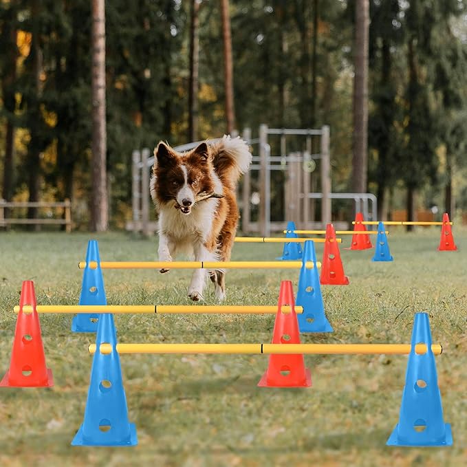 TNZMART Dog Agility Hurdle Cones Pet Jump Training Set Dog Agility Course Backyard Set Adjustable Obstacle Training Set (Mix, 6 Sets)