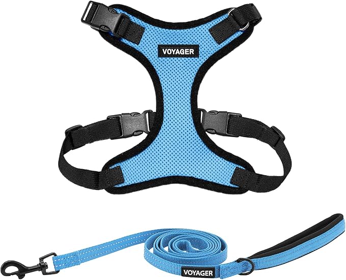 Best Pet Supplies Voyager Step-in Lock Pet Harness w Reflective Pet Leash Combo Set with Neoprene Handle 5ft - Supports Small, Medium and Large Breed Puppies/Cats - Baby Blue/Black Trim Set, L