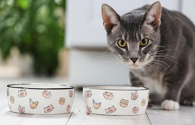Pearhead Ceramic Cat Bowl – Cute Cat Face Water & Food Dish, Wide Shallow Whisker-Friendly Design for Kittens & Small/Medium Cats, Heavy Non-Slip Pet Feeding Bowl 2-Cup (Pack of 2)