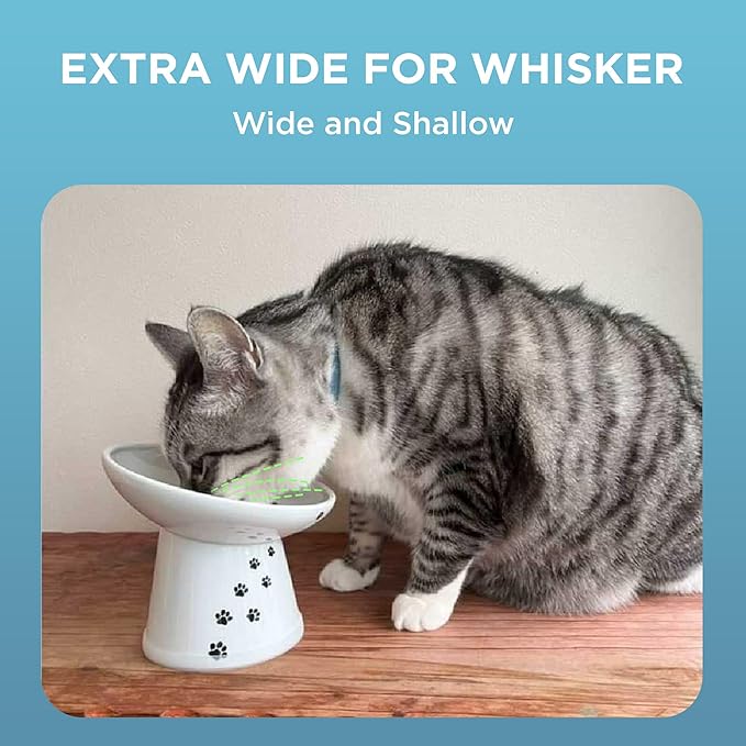 Necoichi Elevated Cat Food Bowl, Ceramic (Porcelain),15° Tilted, Whisker-Friendly, Dishwasher, Microwave Safe, Non-Slip, Anti-Vomiting, Neck Fatigue (Extra Wide Tilted, 1.5-Cup Capacity)