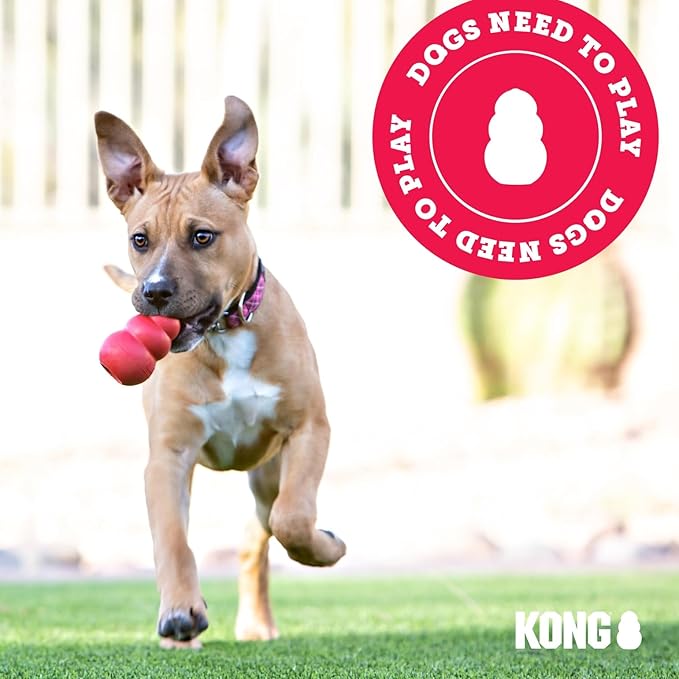 KONG Extreme Ball with Hole - Fetch Toy - Durable Dog Toy for Training, Interactive Playtime & More - Natural KONG Extreme Rubber Ball - Black - For Small Dogs