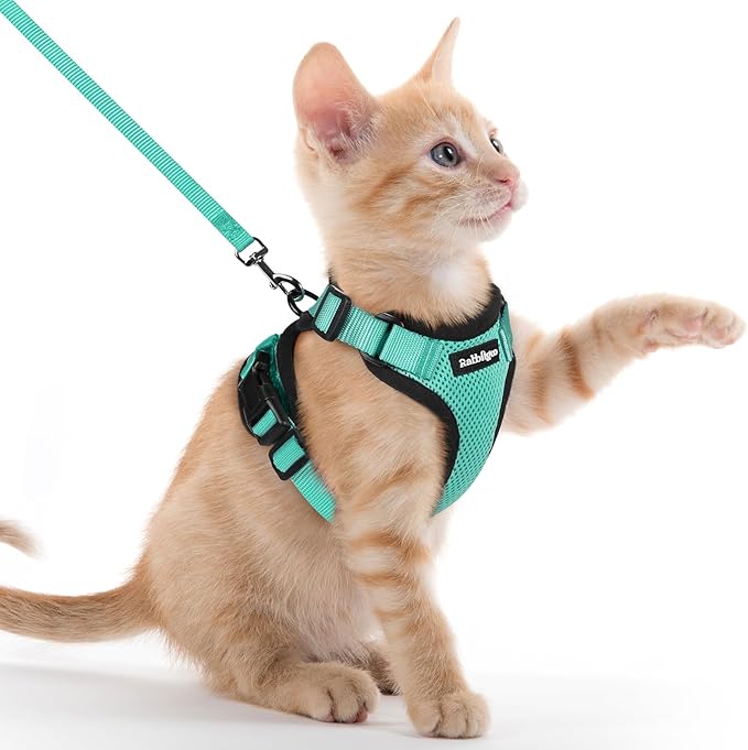 rabbitgoo Cat Harness and Leash Set, Escape Proof Kitten Harness for Safe Outdoor Walks, Soft Breathable Adjustable Vest with Reflective Strips for Kittens and Extra Small Cats, Emerald, XXS