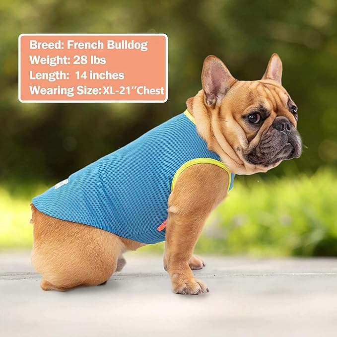 KYEESE 2Pack Dog Cooling Shirt, Breathable Dog Shirt for Small Medium Dogs, Sun Protection Dogs Cooling Vest Tank Top, Lightweight Soft Sleeveless Summer Pet Clothes, Boat+Ice Cream, XL