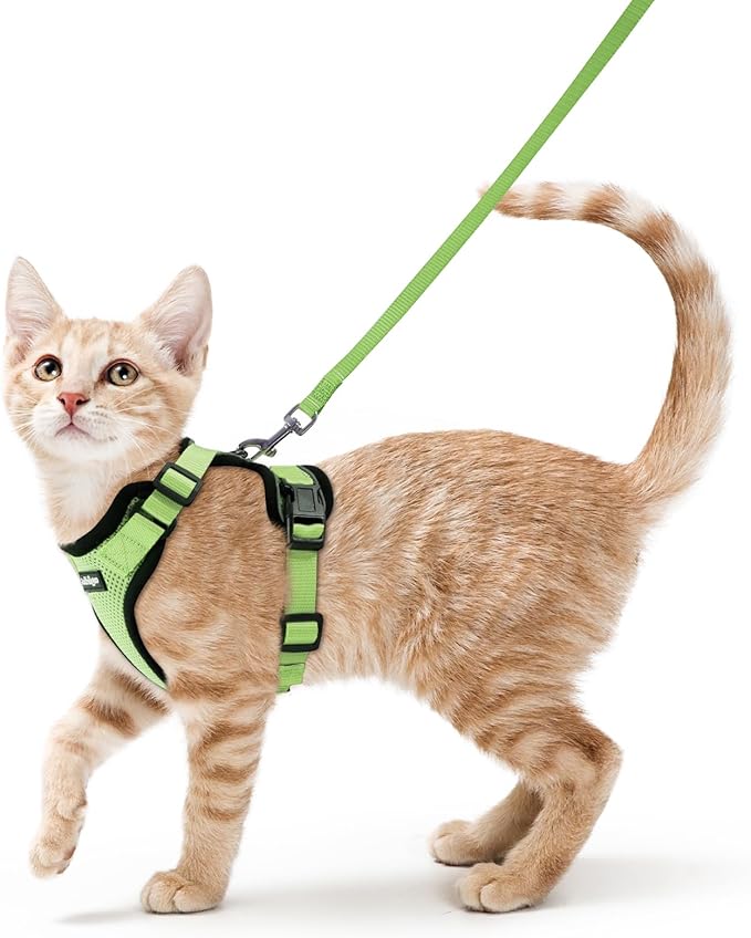 rabbitgoo Cat Harness and Leash Set, Escape Proof Vest Harness for Safe Outdoor Walks, Soft Breathable Adjustable Vest with Reflective Strips for Small and Average Cats, Light Green, S