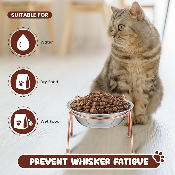 6 Sets Stainless Steel Elevated Cat Bowls 5.5 Inch Wide Raised Cat Bowls with Metal Stand Stress Free Elevated Shallow Water Dish Indoor Kitten Feeding Dish to Prevent Fatigue, 12 oz