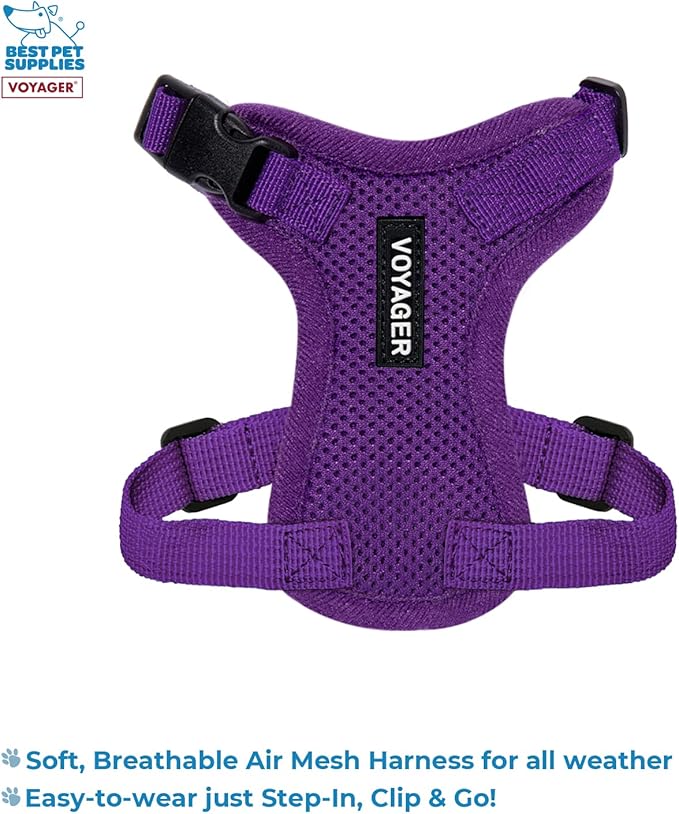 Best Pet Supplies Voyager Step-in Lock Pet Harness w Reflective Pet Leash Combo Set with Neoprene Handle 5ft - Supports Small, Medium and Large Breed Puppies/Cats - Purple Set, XXXS