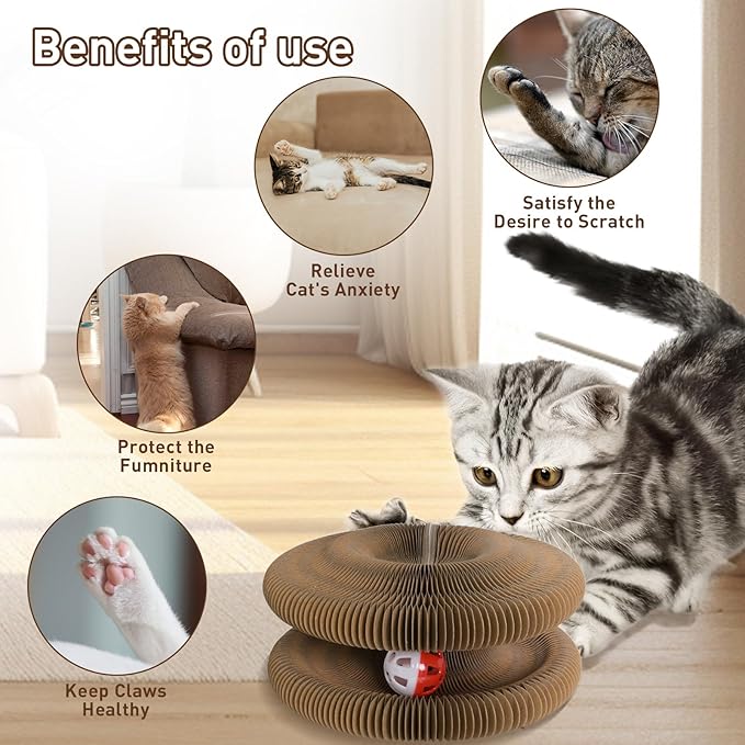 2 Pack Kitty Cat Toy,Foldable Magic Organ Cat Scratcher Board with Bell Ball,Interactive Cat Scratcher, Collapsible Magic Organ Cat Toy,3-in-1 Cat Scratcher Toy for Indoor Cats