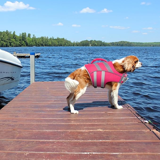 Kuoser Dog Life Jacket with Reflective Stripes, Dog Life Vest for Swimming Boating, Adjustable Pet Lifejackets with High Flotation, Doggie Swimsuit for Small Medium Large Dogs