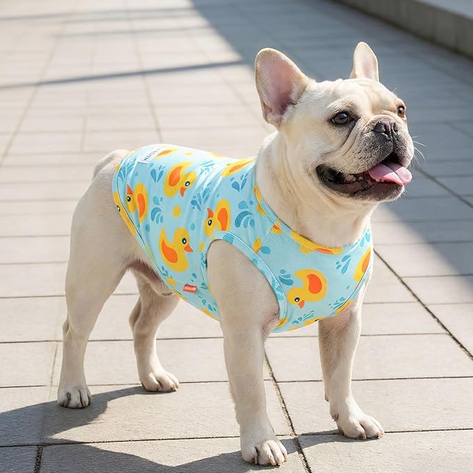 KYEESE 2Pack Dog Cooling Shirt, Breathable Dog Shirt for Small Dogs, Sun Protection Dogs Cooling Vest Tank Top, Lightweight Soft Sleeveless Summer Pet Clothes, Duck+Blue, L
