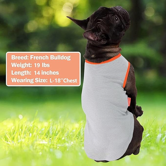 KYEESE 2Pack Dog Cooling Shirt, Breathable Dog Shirt for Small Dogs, Sun Protection Dogs Cooling Vest Tank Top, Lightweight Soft Sleeveless Summer Pet Clothes, Pink+Grey, L