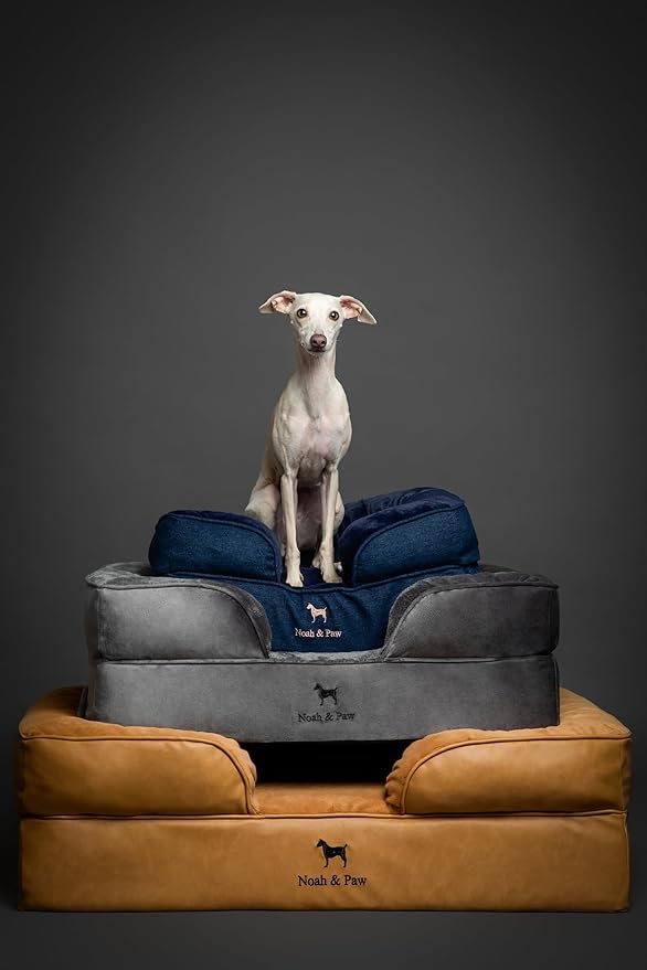 NOAH & PAW XL Dog Bed, 45x35x9.1 Inch, Orthopedic Large Dog Beds, Eggshell Memory Foam Infused with Cooling Gel, Waterproof, Machine Washable, Includes Inner Cover (Faux Leather)