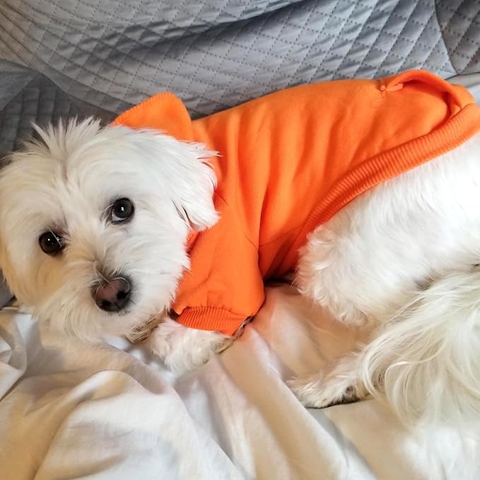 Jecikelon Soft Dog Hoodies for Small Dogs, Fleece Puppy Sweatshirt with Pockets, Warm Winter Cold Weather Coats for Pet Cat, Cute Clothes Puppy Costume (Orange, X-Large)