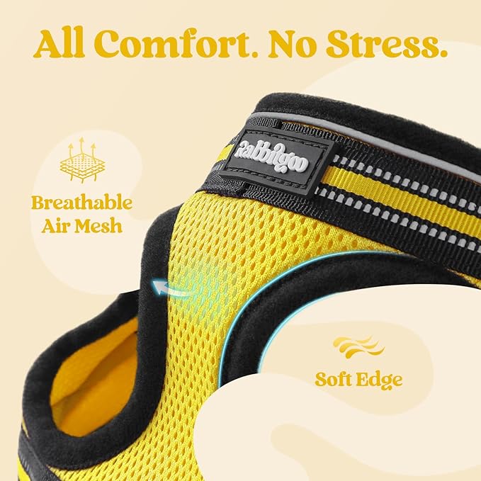 rabbitgoo Cat Harness and Leash, Step-in Escape Proof Kitten Harness Set, Soft Comfortable Cat Vest, Easy to Wear and Adjust, Reflective for Safe Outdoor Walking, Bright Yellow, Large