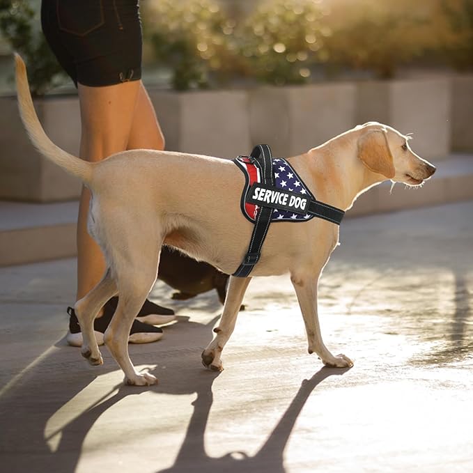 VOOPET Emotional Support Dog Harness, Professional Service Dog Vest, No Pull/Choke Free, Reflective Design, Adjustable, X-Large, Stars & Stripes