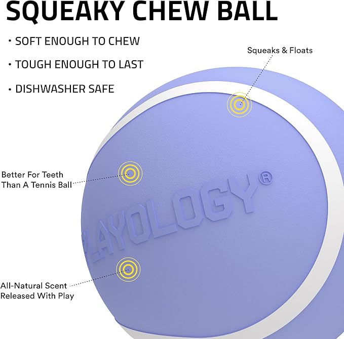 Playology Dog Toys | Squeaky Chew Ball for Dogs, Value 3-Pack | Blueberry Scented Small Dog Balls | Bouncy Floating Chew Toys for Fetch