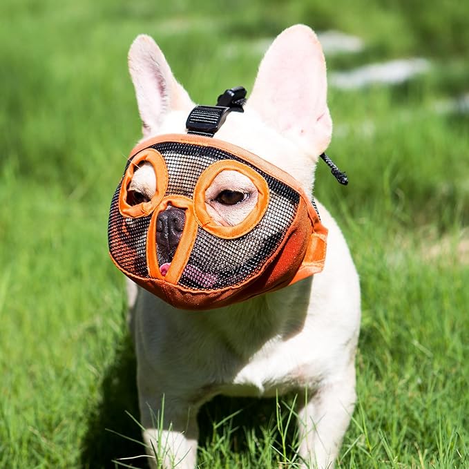 Short Snout Dog Muzzles- Adjustable Breathable Mesh Bulldog Muzzle for Biting Chewing Licking Training Grooming Dog Mask (Orange, Small/9"-12")