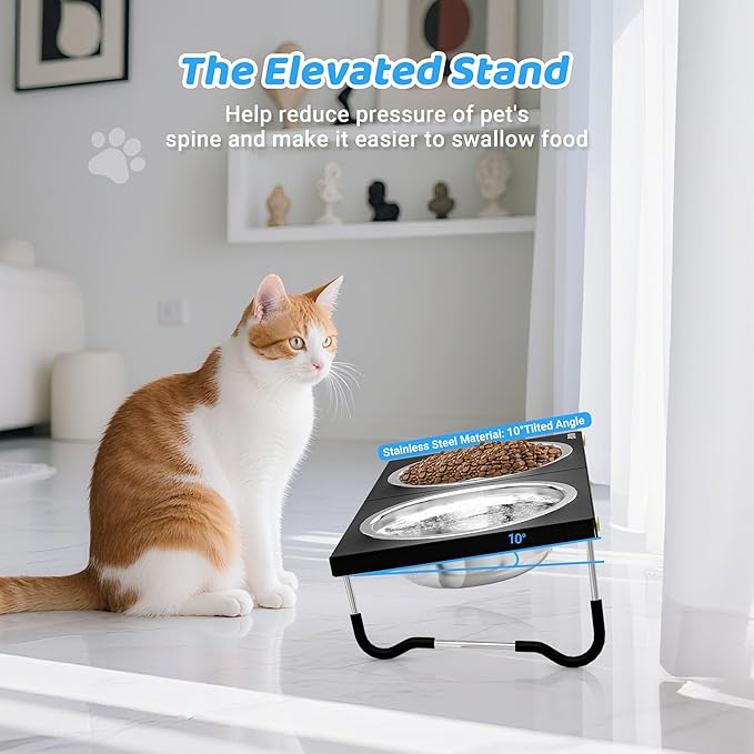 Upgraded Elevated Cat Bowls,10°Tilted Foldable Stand Anti Vomiting Raised Cat Dishes for Food and Water,2 Stainless Steel Bowls for Cats and Puppy (2 Pack)