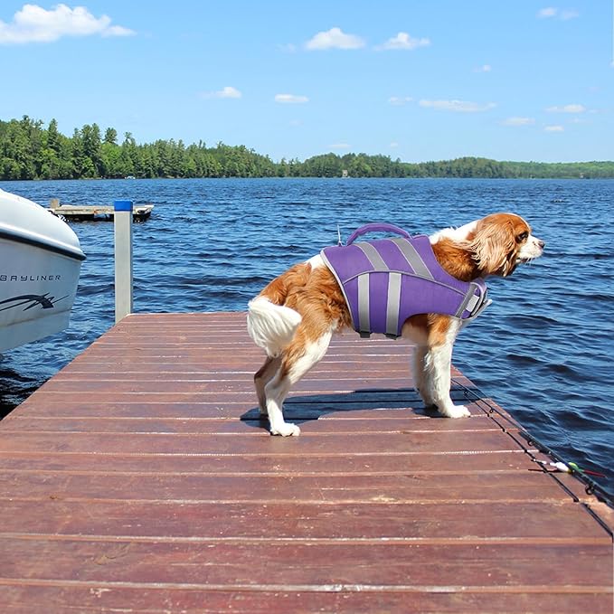 Kuoser Dog Life Jacket with Reflective Stripes, Dog Life Vest for Swimming Boating, Adjustable Pet Lifejackets with High Flotation, Doggie Swimsuit for Small Medium Large Dogs