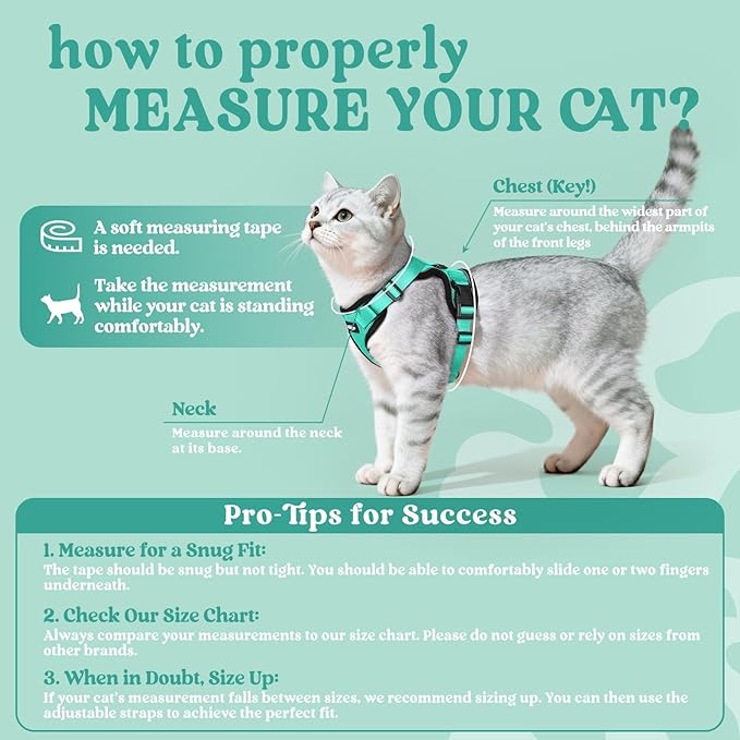 rabbitgoo Cat Harness and Leash Set, Escape Proof Vest Harness for Safe Outdoor Walks, Soft Breathable Adjustable Vest with Reflective Strips for Small and Average Cats, Emerald, S