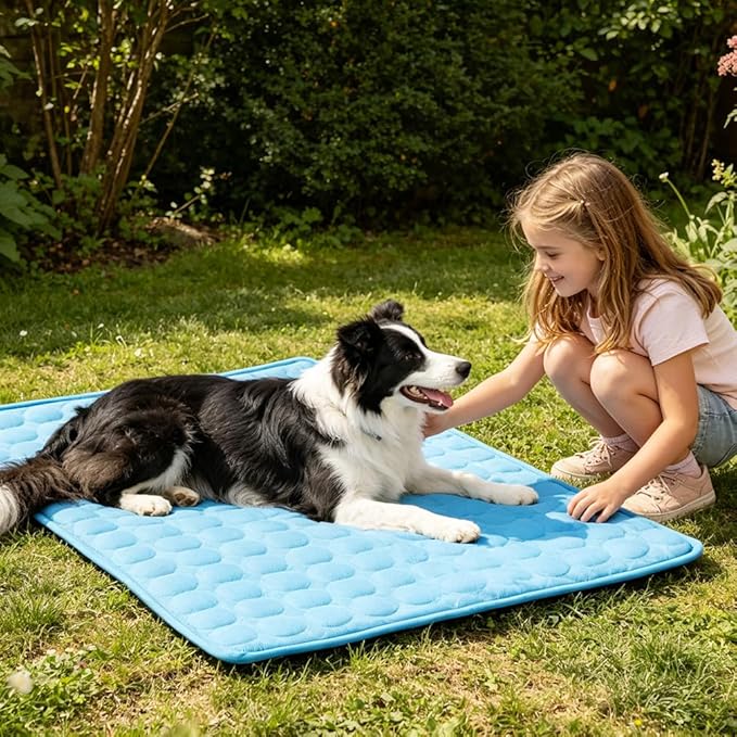 Dog Cooling Mat 2026 Upgraded Arc-Chill Cooling Dog Bed Mat, Washable Pet Cooling Pad (Q-Max>0.4) Cooling Mat for Dogs & Cats Indoor & Outdoor Car Seats (Blue, 59x39 in)