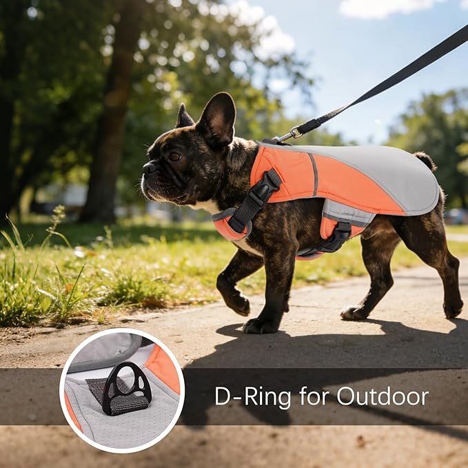 DENTRUN Dog Cooling Vest with Dual Absorbent Core, Adjustable Sun Protective Vest for Hot Weather, Doggie Ice Jacket Hiking Travel Summer Essentials, Reflective, Sun Protective Vest, Orange XL