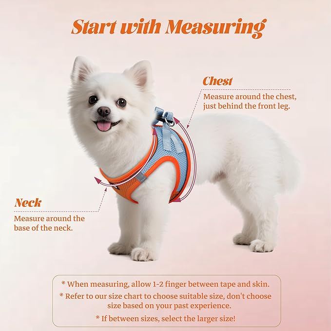 YIMEIS Dog Harness and Leash Set, No Pull Soft Mesh Pet Harness, Reflective Adjustable Puppy Vest for Small Medium Large Dogs, Cats (Orangeblue, Medium (Pack of 1))