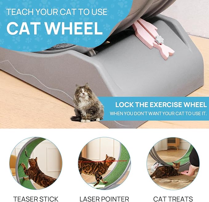 Cat Exercise Wheel, 47.2 Inch Indoor Treadmill for Cats with Carpeted Runway, Screw-Fixed Assembly for Easy Setup, Silent & Safe Fitness Equipment for Most Cats