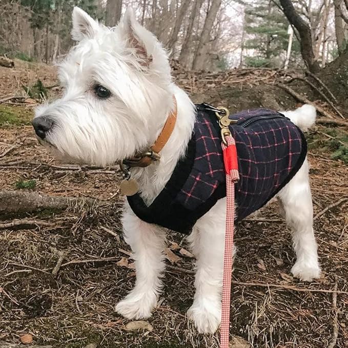 Gooby Fashion Vest Check Dog Jacket - Navy Check, X-Small - Warm Zip Up Dog Bomber Vest with Dual D Ring Leash Water Resistant for Small to Medium Dogs