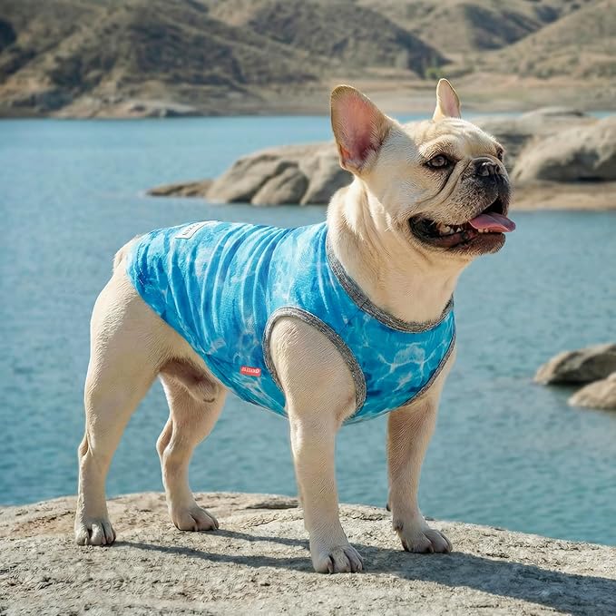 KYEESE 2Pack Dog Cooling Shirt, Breathable Dog Shirt for Small Dogs, Sun Protection Dogs Cooling Vest Tank Top, Lightweight Soft Sleeveless Summer Pet Clothes, Polar Bear+Ice, L