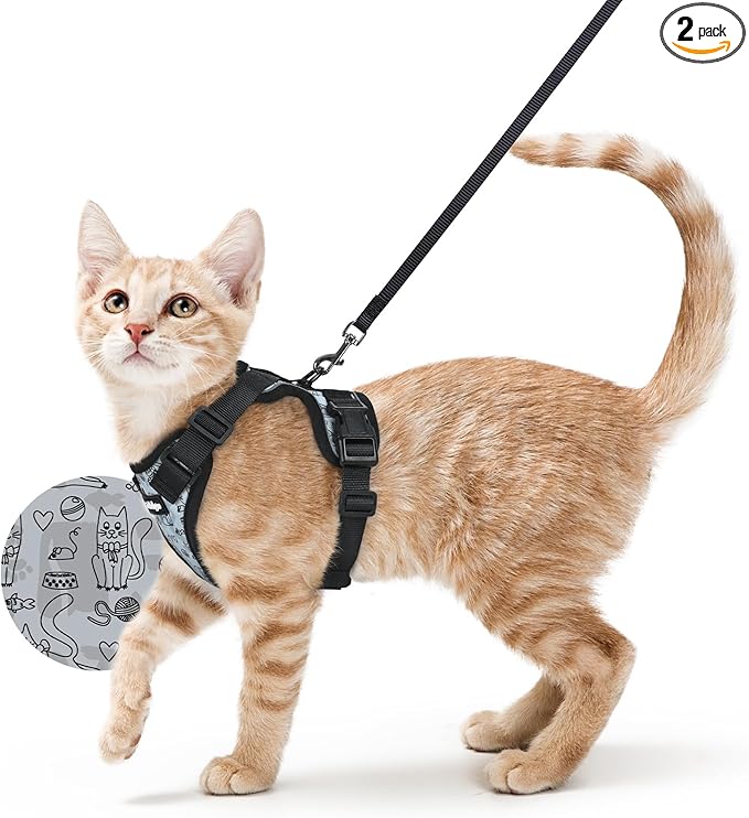 rabbitgoo Cat Harness and Leash Set, Escape Proof Kitten Harness for Safe Outdoor Walks, Soft Breathable Adjustable Vest with Reflective Strips for Kittens and Small Cats, Doodle Gray, XS