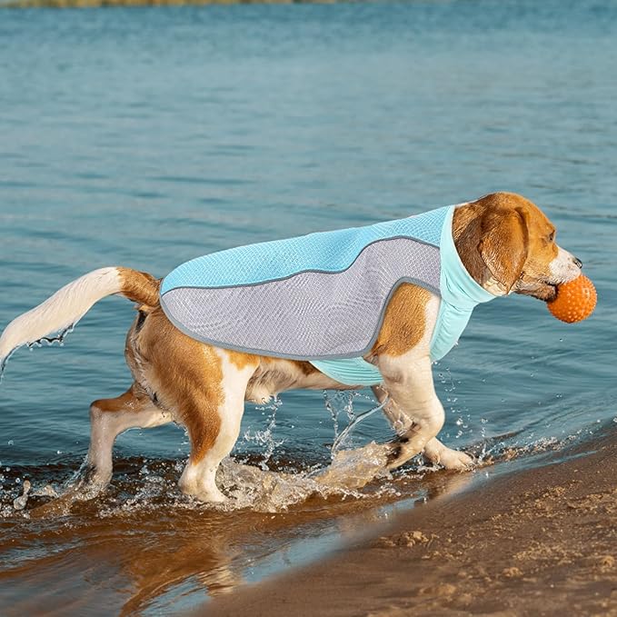Dog Cooling Vest for Summer, Breathable Mesh Cooling Shirt Jacket for Dogs Summer Heat Relief, Lightweight Cooling Dog Harness Pet Cooler Suit for Outdoor Hiking Walking Hot Weather(Blue L)