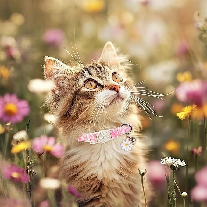 2 Pack Daisy Cat Collars - Cute Pink & Yellow Daisy Breakaway Cat Safety Collars, Adjustable Floral Kitten Collar for Small Dogs Puppy, Spring Summer Pet Collar with Bell & Pendant,