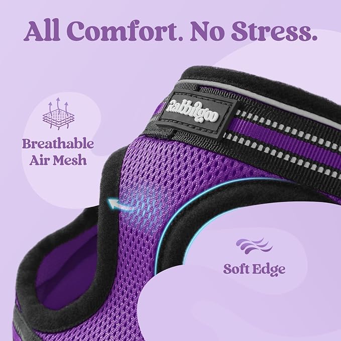 rabbitgoo Cat Harness and Leash, Step-in Escape Proof Kitten Harness Set, Soft Comfortable Cat Vest, Easy to Wear and Adjust, Reflective for Safe Outdoor Walking, Purple, Small