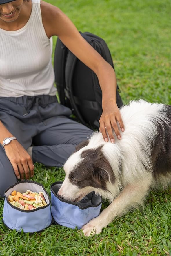OllyDog Superbowl | Collapsible Dog Travel Bowl | 2-Compartment Food & Water | Foldable Portable Dog Dish | Hiking Camping Backpacking | Small Medium Large Dogs (Blue Heron)