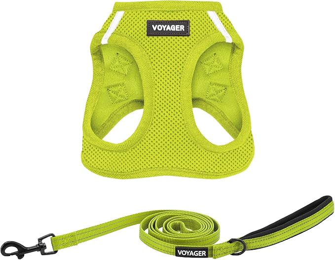 Best Pet Supplies Voyager Step-in Air All Weather Mesh Harness and Reflective Dog 5ft Leash Combo with Neoprene Handle, for Small, Medium and Large Breed Puppies - Set (Lime Green), XXX-Small