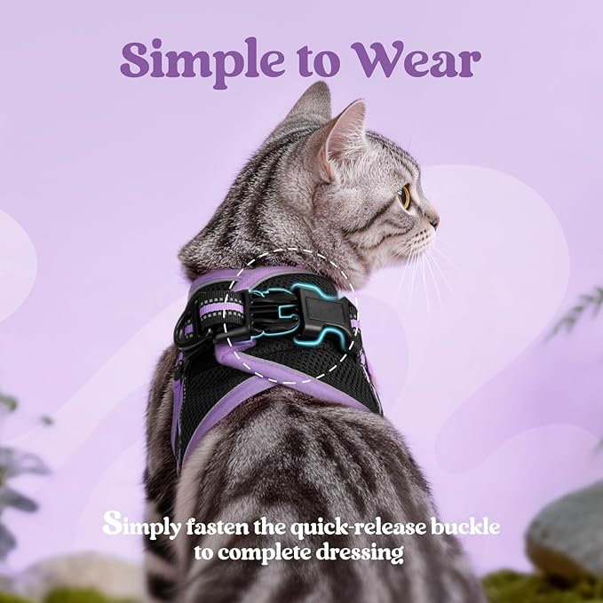 rabbitgoo Cat Harness and Leash, Step-in Escape Proof Kitten Harness Set, Soft Comfortable Cat Vest, Easy to Wear and Adjust, Reflective for Safe Outdoor Walking, Black&Light Purple, Small