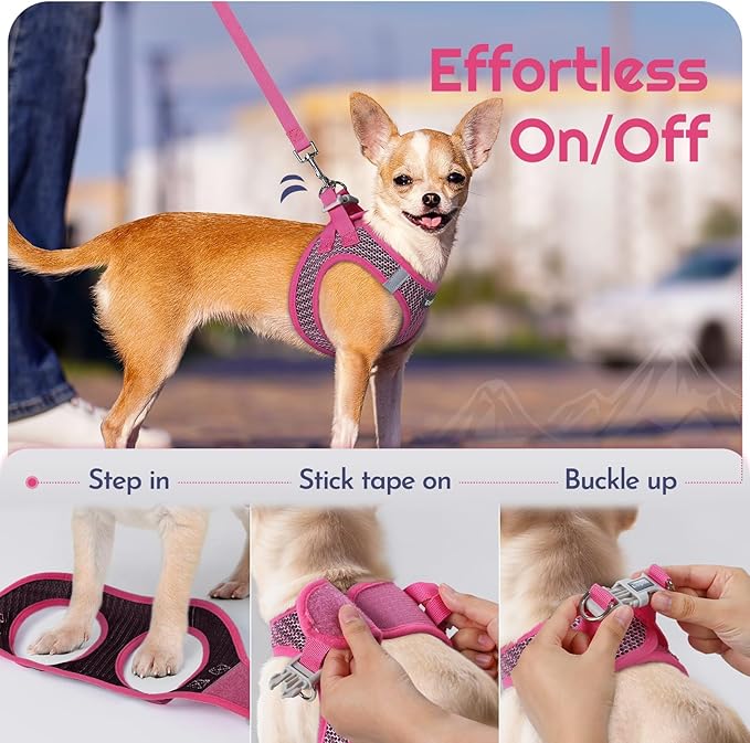 Eagloo Small Dog Harness and Leash Set, Step in Puppy Vest with Breathable Soft Mesh, Walking Reflective Pet Harness for Medium Small Dogs, Rose Red, M