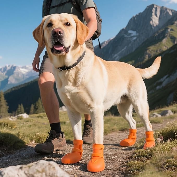 Easy-On Rubber Dog Boots for Small Medium Dogs with Wide Opening & Dual Hook-and-Loop Fastener – Waterproof Dog Shoes, Non-Slip Paw Shoes for Hot Pavement, Snow and Rain Orange S