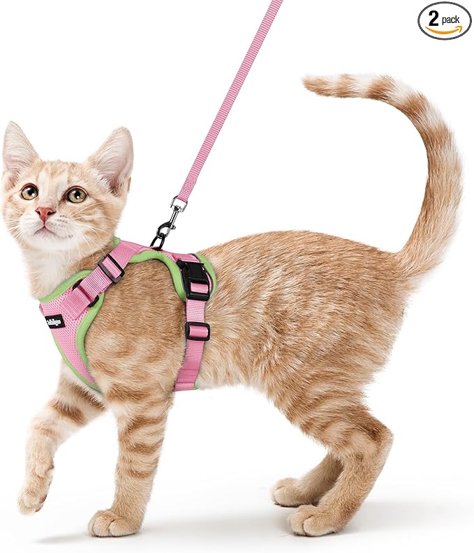 rabbitgoo Cat Harness and Leash Set, Escape Proof Kitten Harness for Safe Outdoor Walks, Soft Breathable Adjustable Vest with Reflective Strips for Kittens and Small Cats, Pink & Light Green, XS